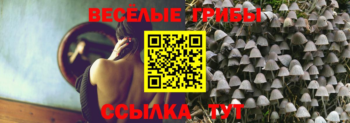 Кумертау  Псилоцибиновые грибы GOLDEN TEACHER  Вход с VPN  Псилоцибиновые грибы мухоморы 